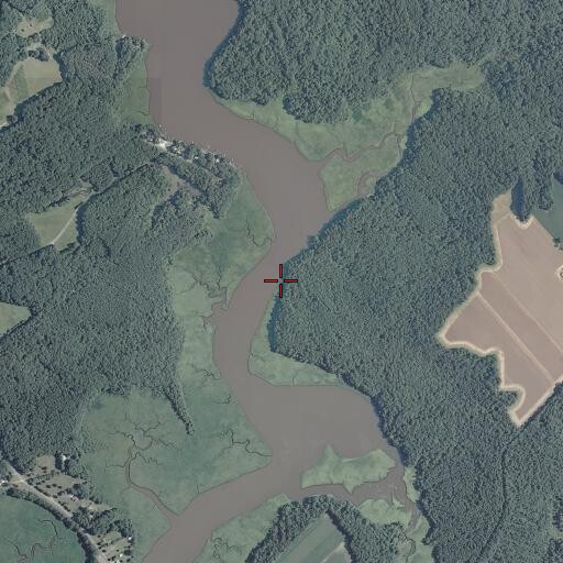 Aerial/Satellite Image of Chestnut Hill Landing, VA