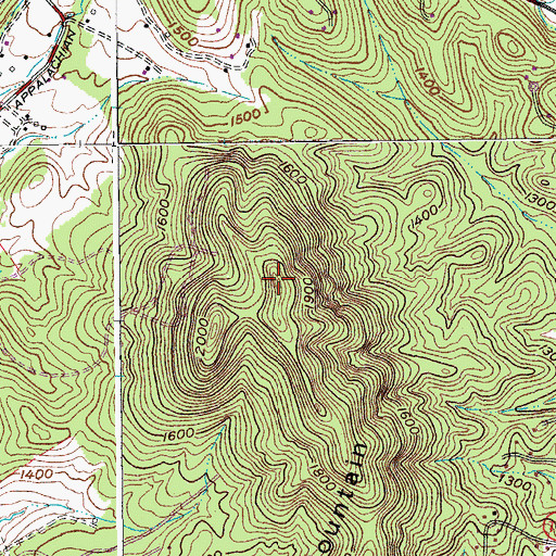 Topographic Map of Coyner Mountain, VA