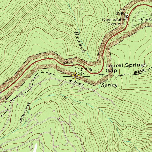 Topographic Map of Dripping Rock, VA