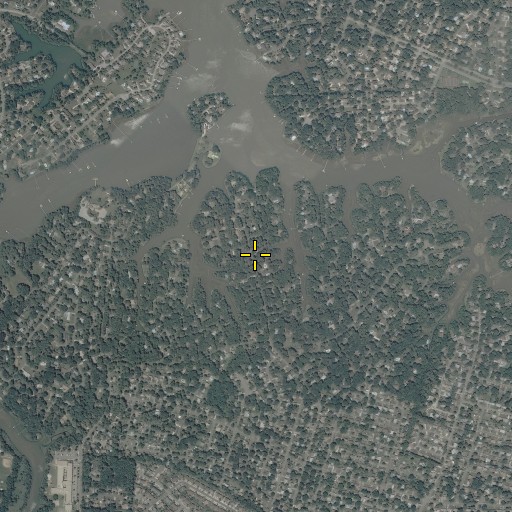 Aerial/Satellite Image of Lynn Shores, VA