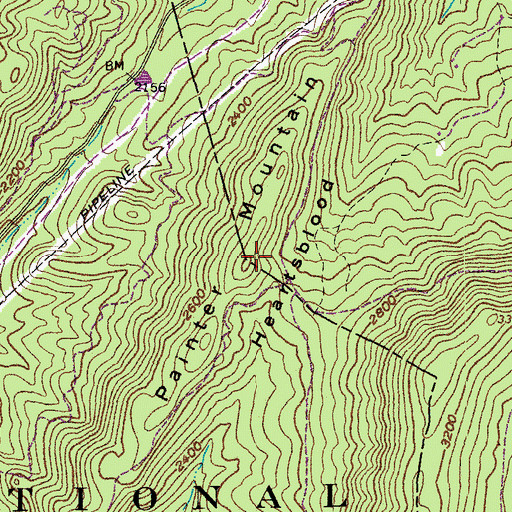 Topographic Map of Painter Mountain, VA