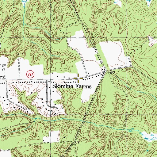 Topographic Map of Skimino Farms, VA