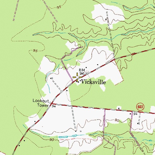 Topographic Map of Vicksville, VA