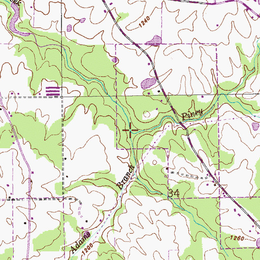 Topographic Map of Adams Branch, AL