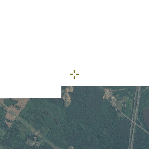 Aerial/Satellite Image of Roanoke School (historical), VA