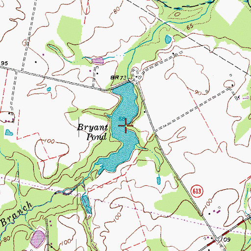 Topographic Map of Bryant Pond, VA