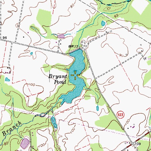 Topographic Map of Bryant Pond, VA