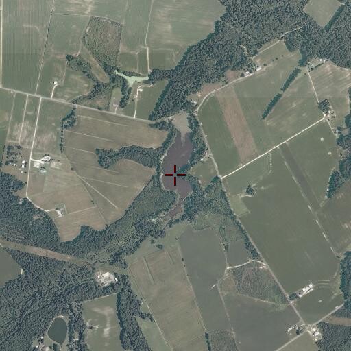 Aerial/Satellite Image of Bryant Pond, VA