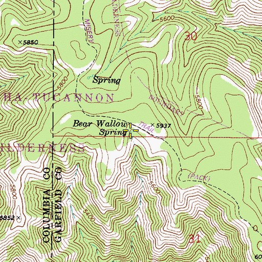 Topographic Map of Bear Wallow Spring, WA