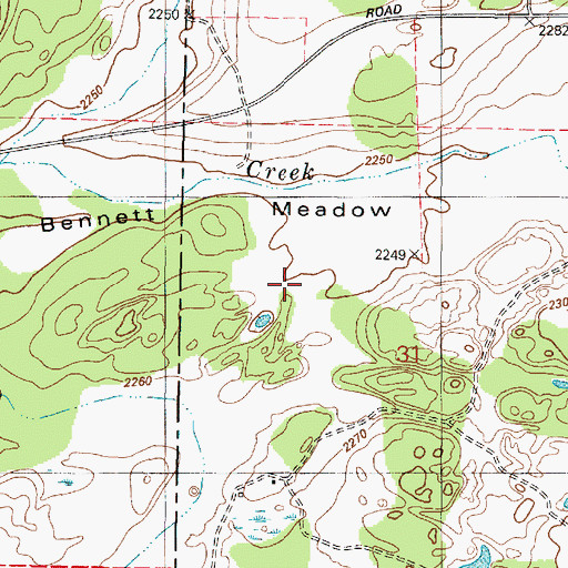 Topographic Map of Bennett Meadow, WA