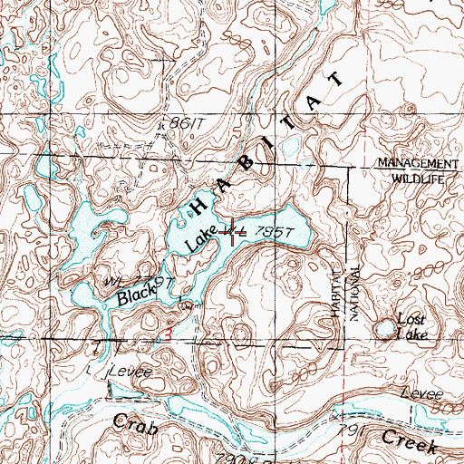 Topographic Map of Black Lake, WA