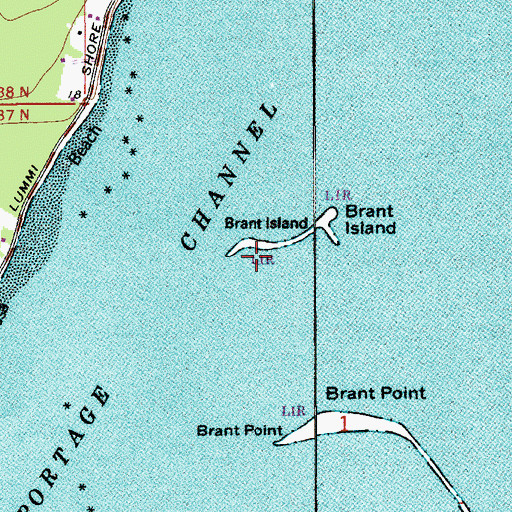Topographic Map of Brant Island, WA