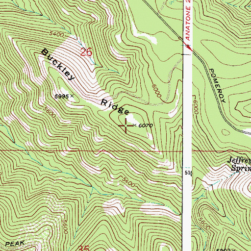 Topographic Map of Buckley Ridge, WA
