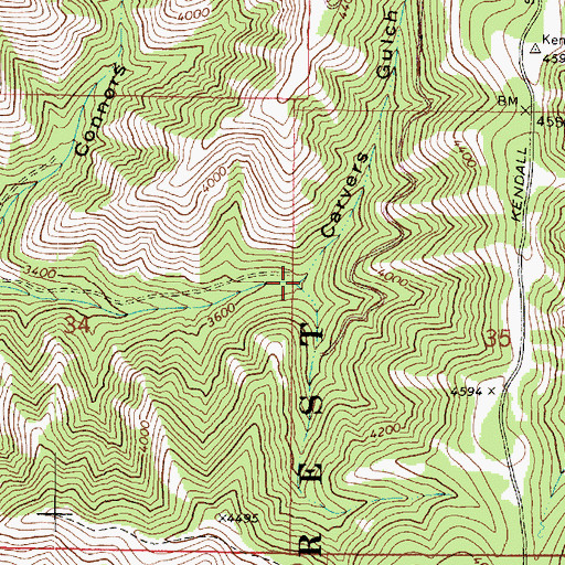 Topographic Map of Carvers Gulch, WA