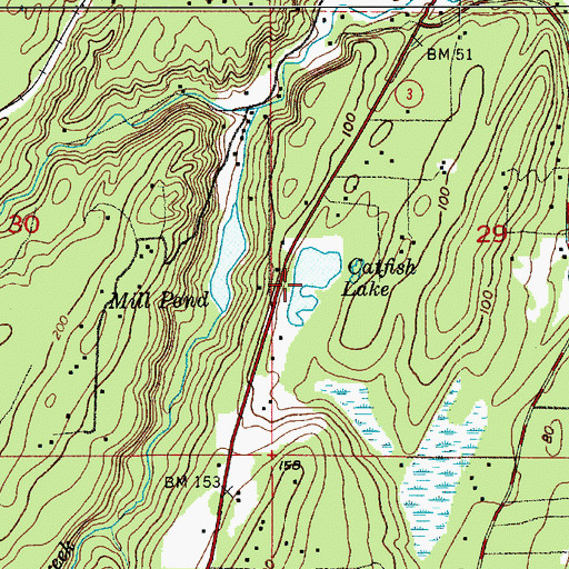 Topographic Map of Catfish Lake, WA