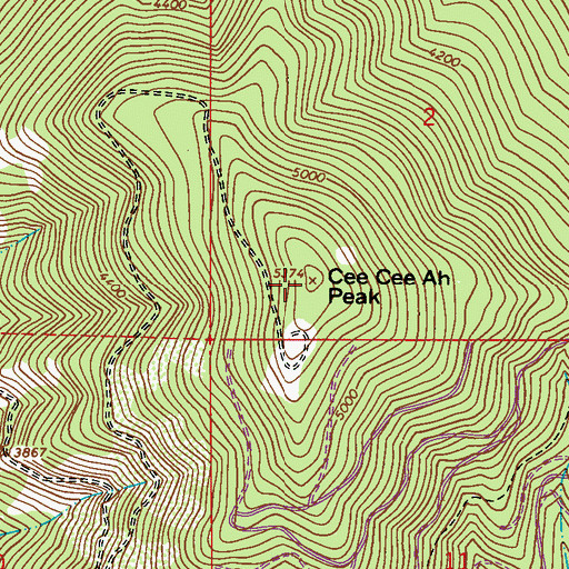 Topographic Map of Cee Cee Ah Peak, WA