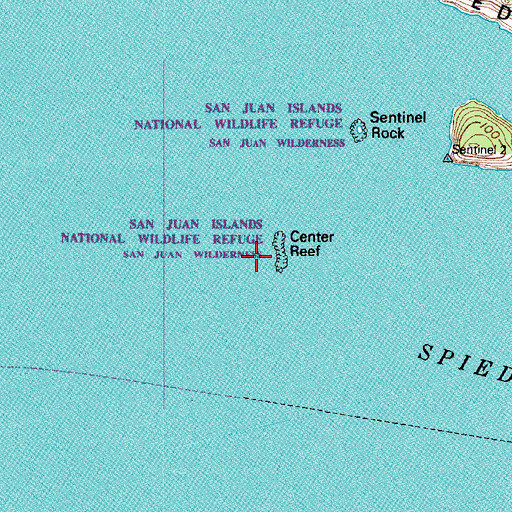 Topographic Map of Center Reef, WA