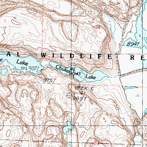 Topographic Map of Chukar Lake, WA