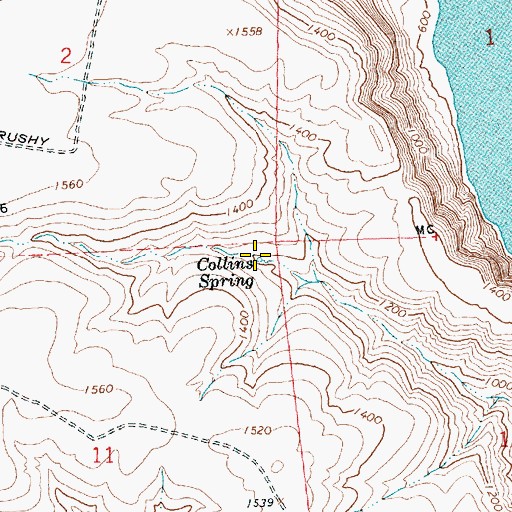 Topographic Map of Collins Spring, WA
