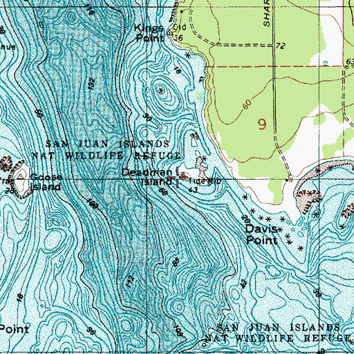 Topographic Map of Deadman Island, WA