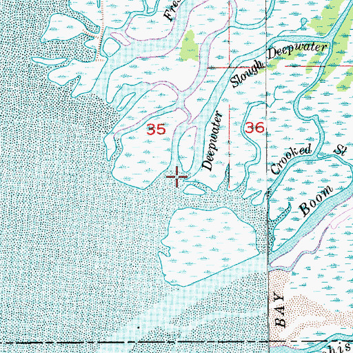 Topographic Map of Deepwater Slough, WA