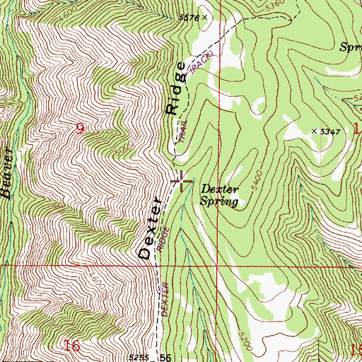 Topographic Map of Dexter Spring, WA