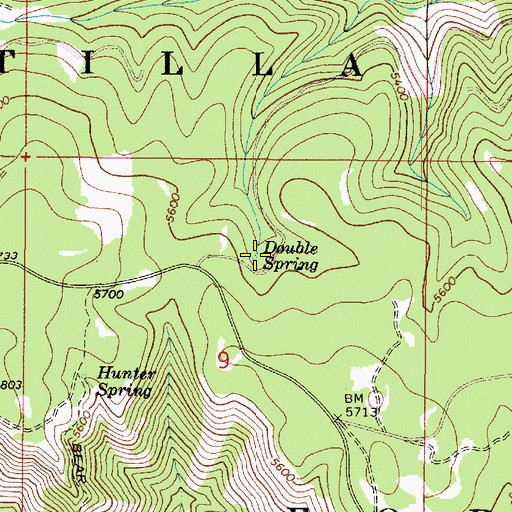 Topographic Map of Double Spring, WA