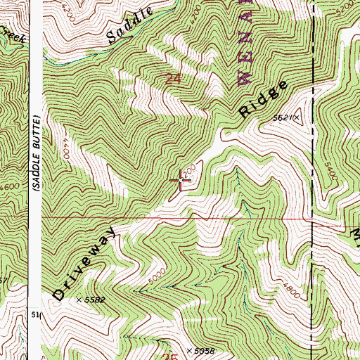 Topographic Map of Driveway Ridge, WA