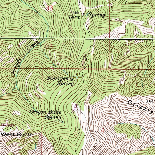 Topographic Map of Emergency Spring, WA