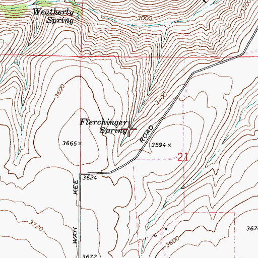 Topographic Map of Flerchinger Spring, WA