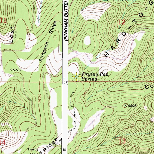 Topographic Map of Frying Pan Spring, WA