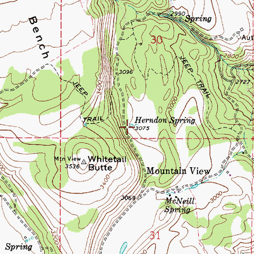 Topographic Map of Herndon Spring, WA