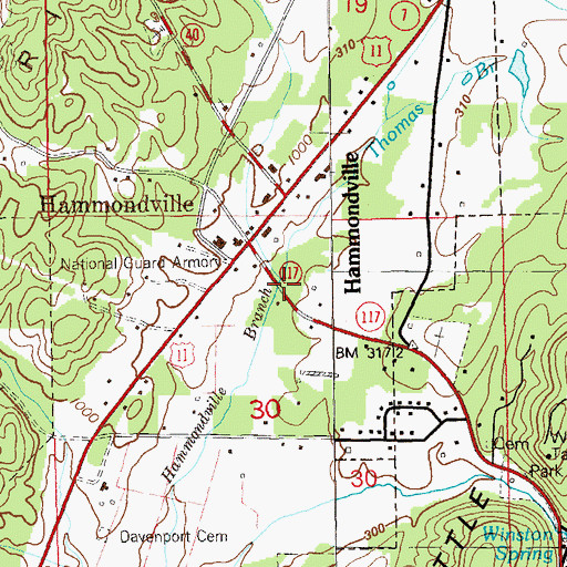 Topographic Map of Thomas Branch, AL