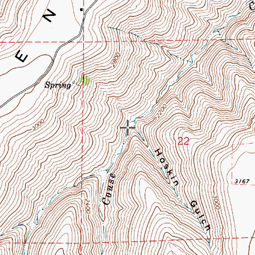 Topographic Map of Hoskins Gulch, WA