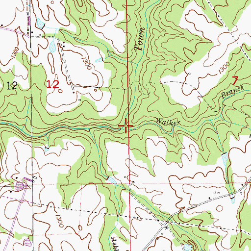Topographic Map of Walker Branch, AL