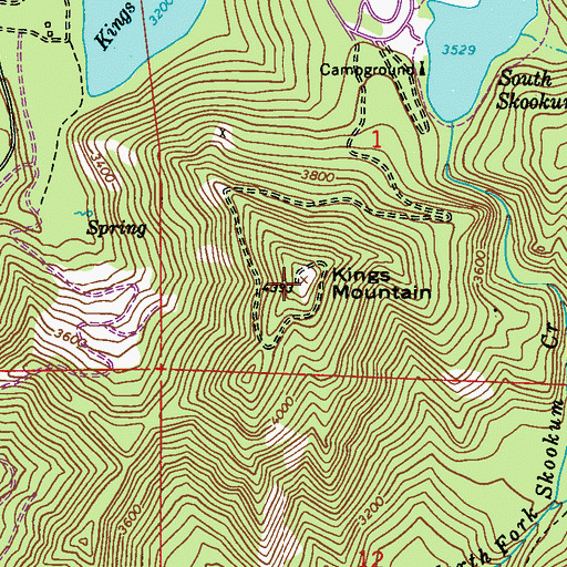 Topographic Map of Kings Mountain, WA