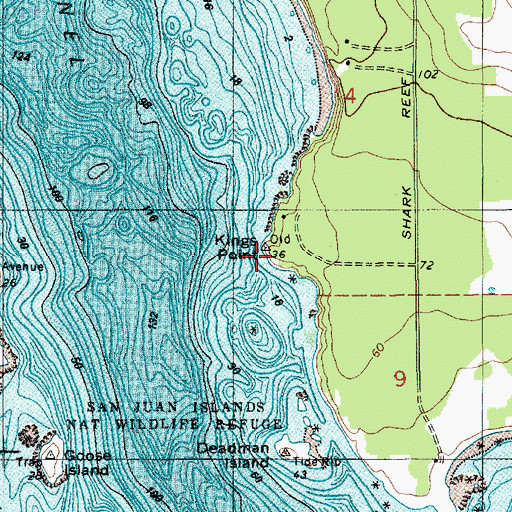 Topographic Map of Kings Point, WA