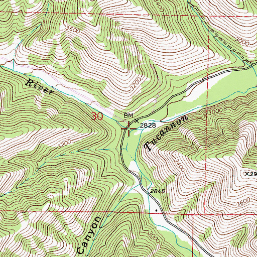 Topographic Map of Little Tucannon River, WA