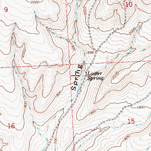 Topographic Map of Lower Spring, WA