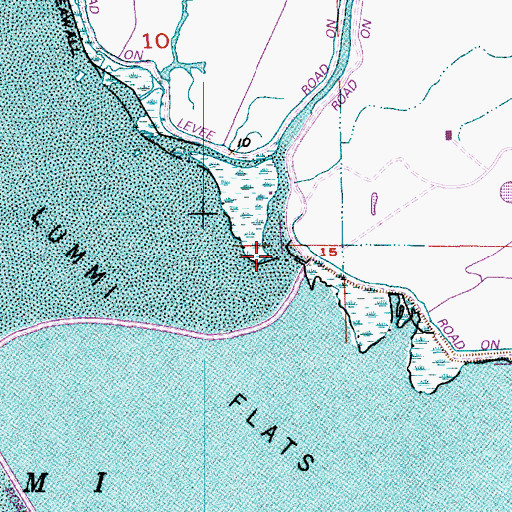 Topographic Map of Lummi River, WA
