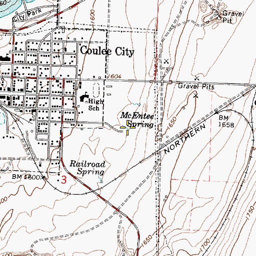 Topographic Map of McEntee Spring, WA