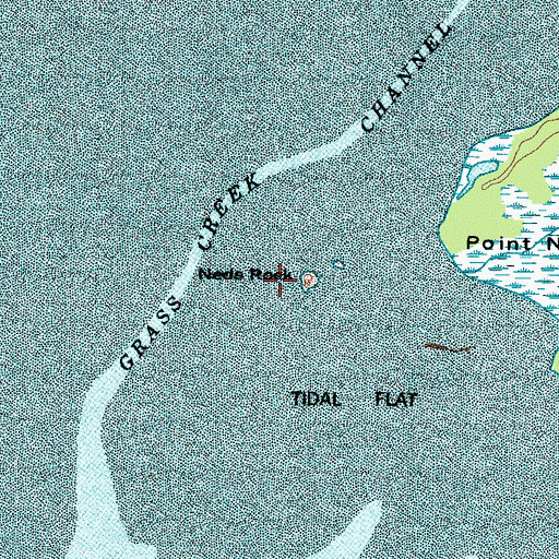 Topographic Map of Neds Rock, WA