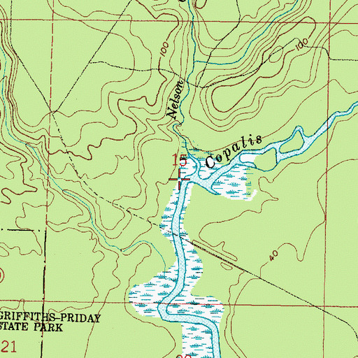 Topographic Map of Nelson Creek, WA