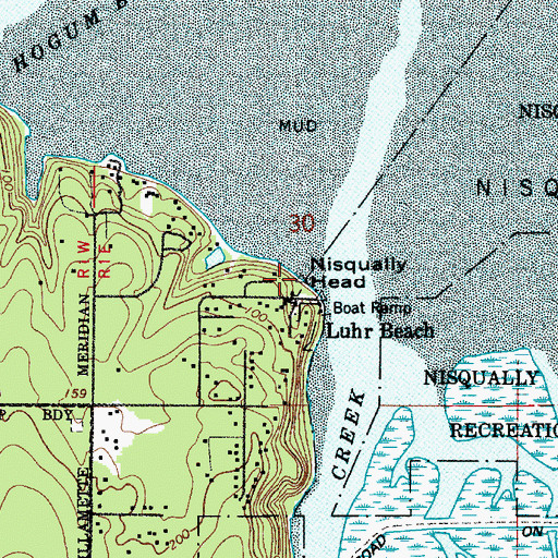 Topographic Map of Nisqually Head, WA