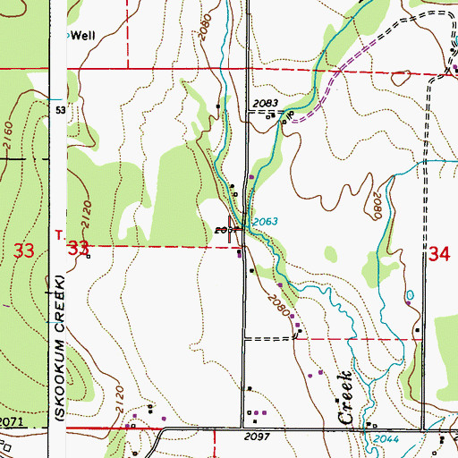 Topographic Map of North Fork Skookum Creek, WA