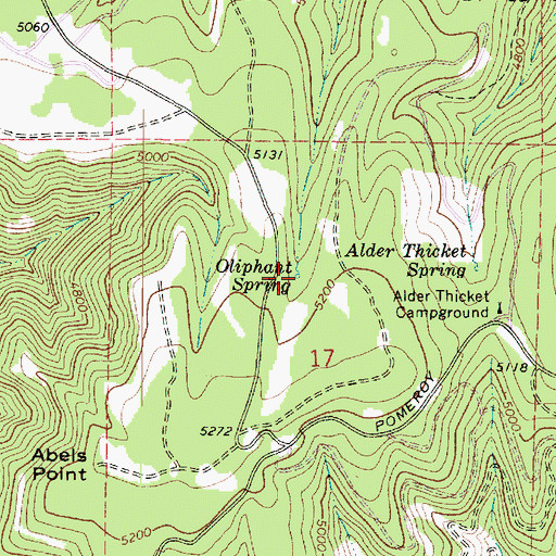 Topographic Map of Oliphant Spring, WA
