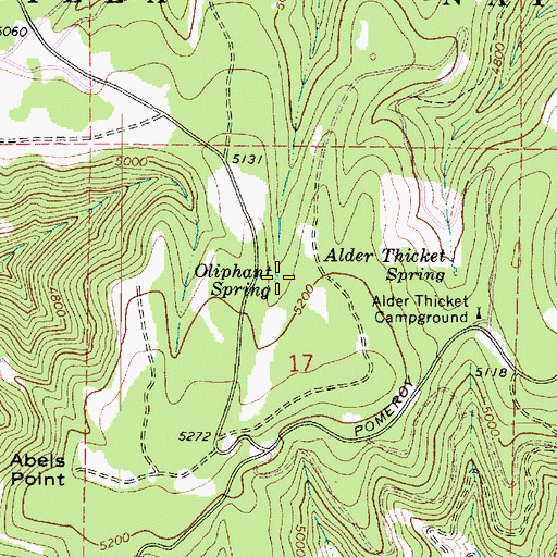 Topographic Map of Oliphant Spring, WA