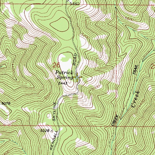 Topographic Map of Patrick Spring, WA