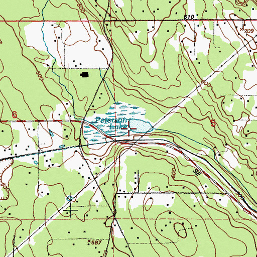 Topographic Map of Peterson Lake, WA