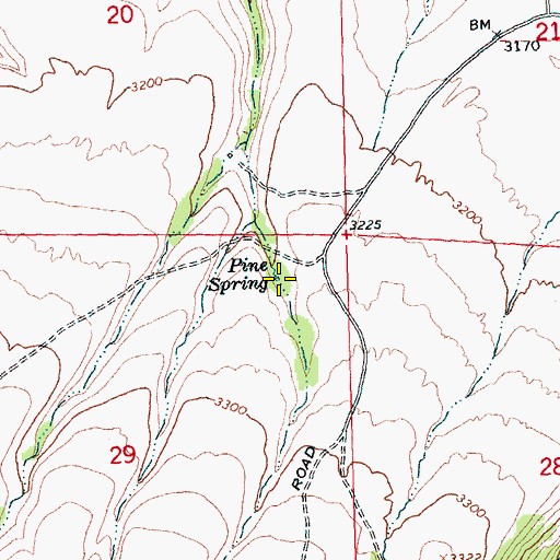 Topographic Map of Pine Spring, WA